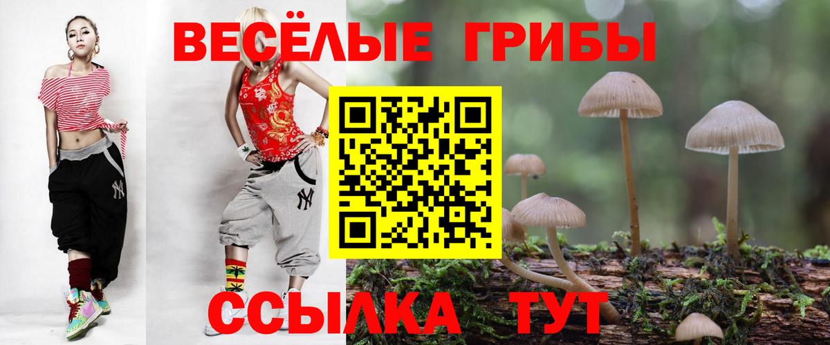 продажа наркотиков  Вход с VPN  Сургут  Псилоцибиновые грибы мицелий 